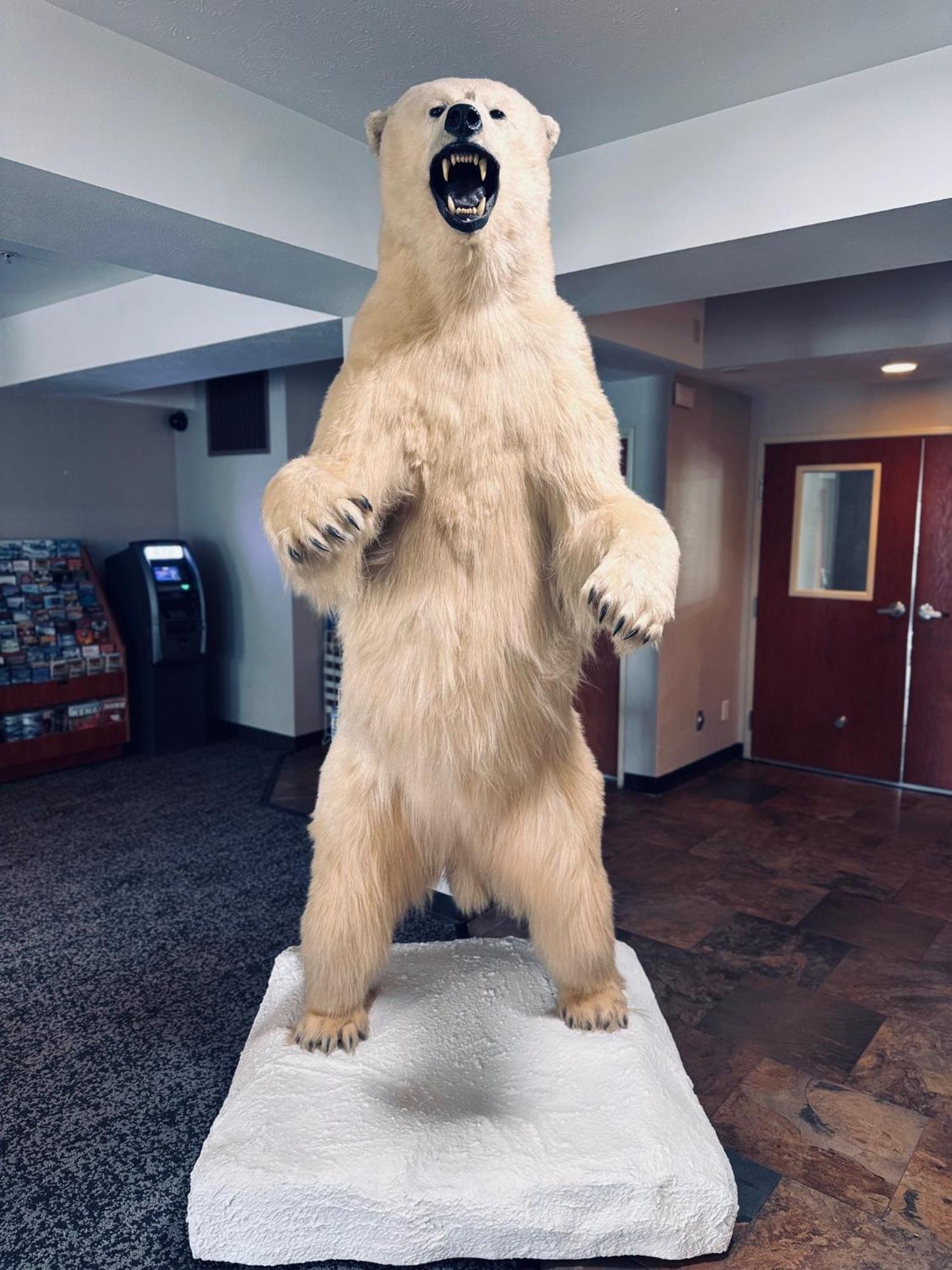 Wyndham Garden Anchorage Airport Hotel Eksteriør billede